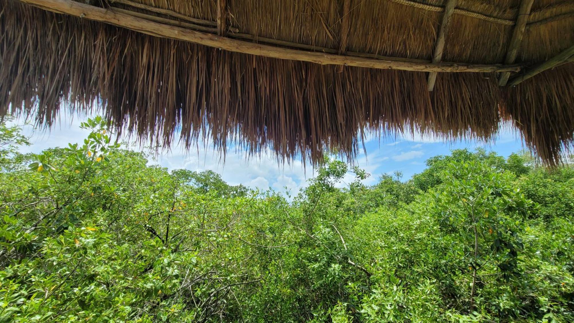 Hotel Cormoran Tulum & Cenote Bagian luar foto